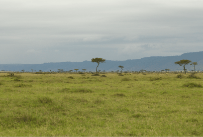 Screen Shot 2014-09-15 at 01.04.51