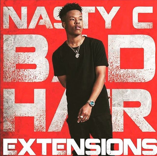 nasty-c-bad-hair-extensions-art